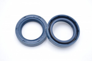 Simering C 22*32*6, BPI, C15, 22X32X6, 0314359,