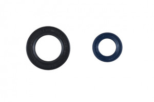 Kit Reparatie Distribuitor Citroen Xantia, 1992-2002 ZF, Bendix SFD, 15599937 AS18070