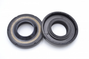 Simering TCS 20.6*41.5*6.3/8.5, BP uy, B86, 20.6X41.5X6.3/8.5, 3315900,