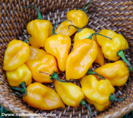 Ardei iute Grenada Seasoning