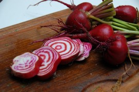Sfecla Chioggia