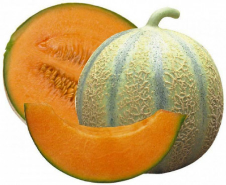 Pepene galben Cantalupo di Charentais