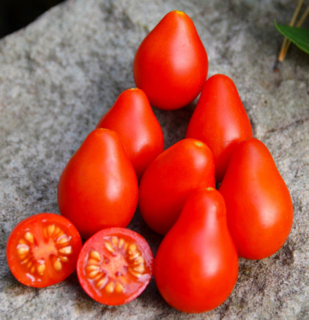 Tomate cherry Red Fig