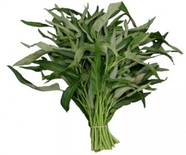 Kangkong -Spanac chinezesc