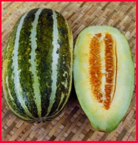 ﻿Pepene galben Thai Melon