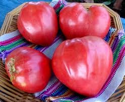 Tomate Inima de bou