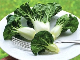 Varza chinezeasca Pak Choi Canton Dwarf