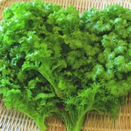 Mustar oriental Wasabi-na