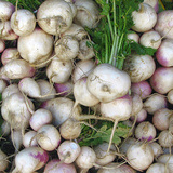 Napi