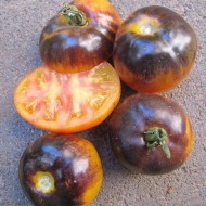 Tomate Blue Gold