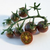 Tomate cherry negre