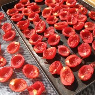 Tomate cherry Principe Borghese
