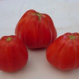 Tomate Coeur d'Albenga