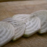 Sfecla alba Albino