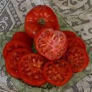﻿Tomate Pantano Romanesco