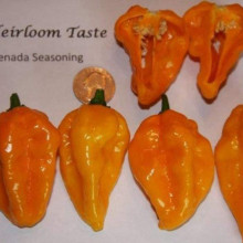 Ardei iute Grenada Seasoning