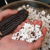 Porumb de floricele negru
