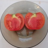 Tomate Buzau 50