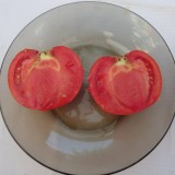 Tomate Naslada F1