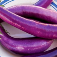 Vinete Long Purple
