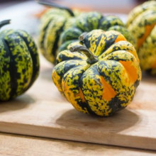 Dovleac decorativ Carnival Squash