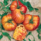 Tomate Big Rainbow