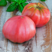 Tomate Brandywine Pink