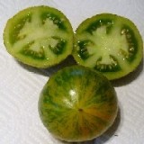 Tomate Green Zebra