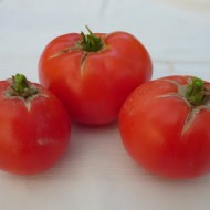 Tomate soi Romanesc Ghittia