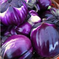 Vinete Violetta di Firenze