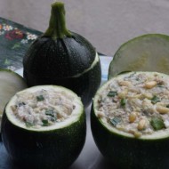 Dovlecel zucchini Piacenza Round Dark