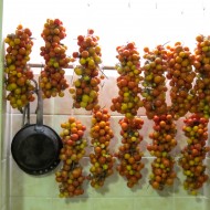 Tomate cherry Principe Borghese