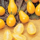 Tomate cherry Yellow Pearshaped