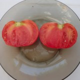 Tomate Paulina F1