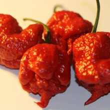Ardei iute Carolina Reaper