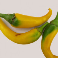 Ardei iute Romanian Yellow
