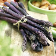 Sparanghel purple