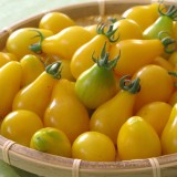 Tomate cherry Yellow Pearshaped
