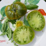 Tomatele Evergreen