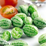 Cucamelon-Scabra Melothria
