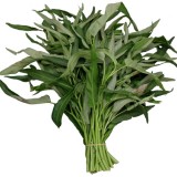 Kangkong -Spanac chinezesc