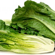 Salata verde Romaine-Cos Lettuce