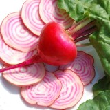 Sfecla Chioggia