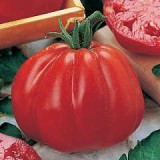 Tomate Coeur d'Albenga