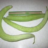 Castravete Armenian Yard Long