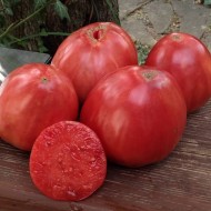 Tomate Inima de bou