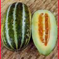 Pepene galben Thai Melon