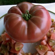 Tomate Cherokee Purple