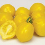 Tomate Lemon Tree