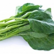 Varza Chinese Kale-Large Leaf